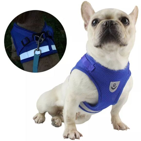 BRAND NEW - BLUE SIZE L - Dog & Cat Adjustable Chest Pet Harness Vest Leash Set - Picture 7 of 7